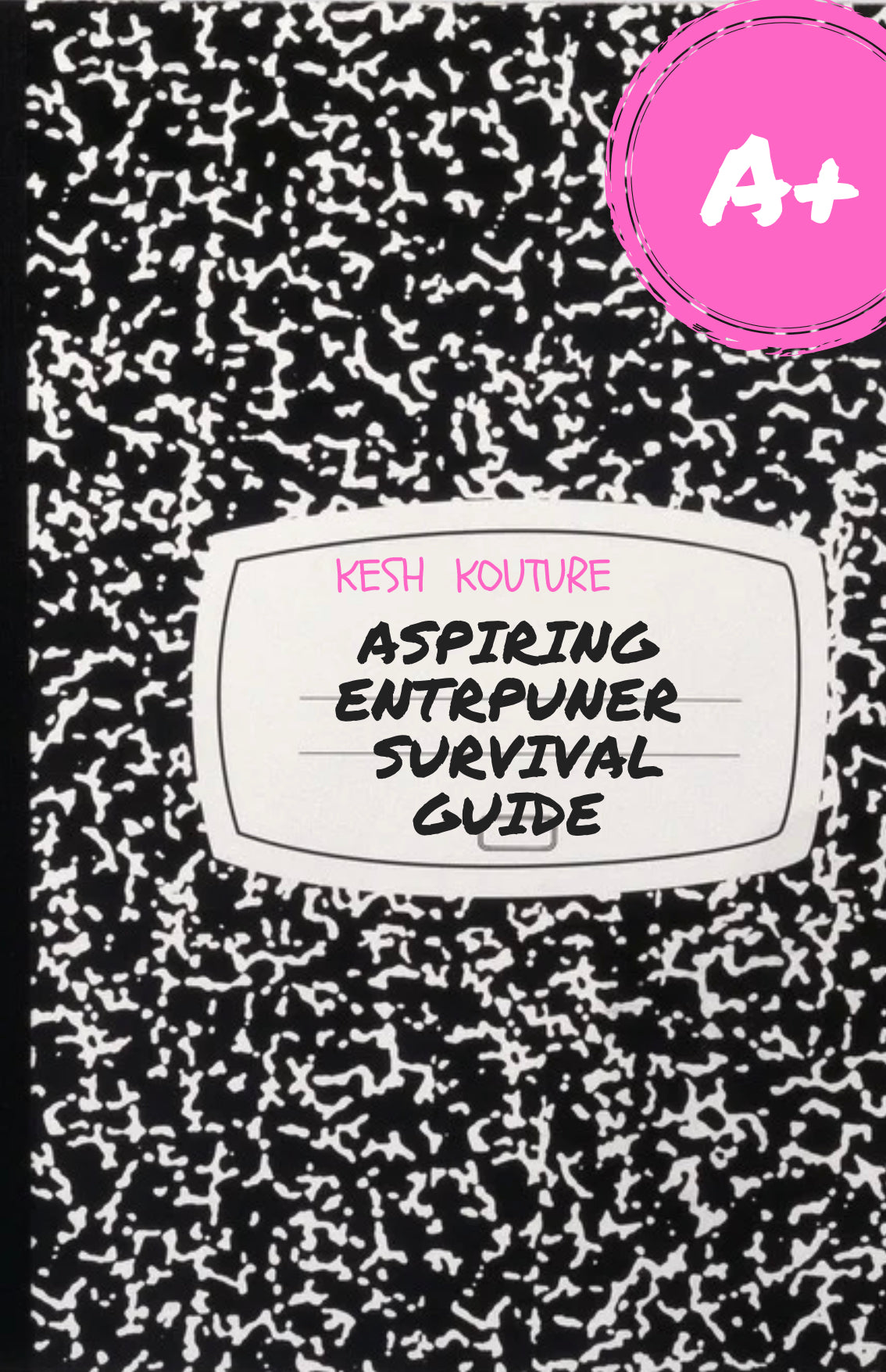 Aspiring Entrepreneural Survival Guide